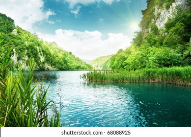 lake in deep forest - Powered by Shutterstock