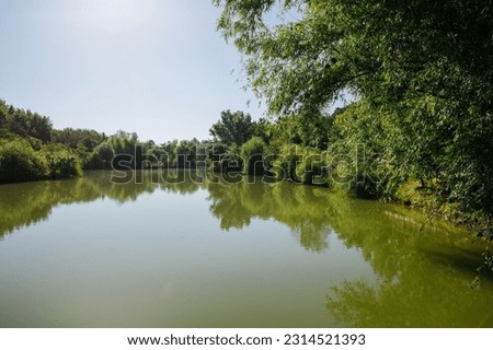 Lake in the Dendrological park of Shymkent city