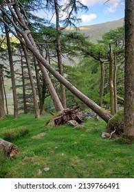 The Lake District Countryside In The United Kingdom