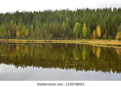 Lake District And Forest Scenery In Finnish Lapland, Finland During Autumn