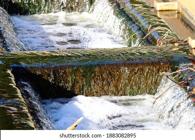 Lake Drain In Largo, FL 