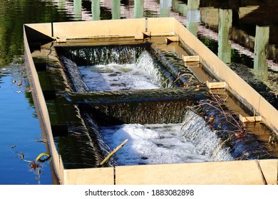 Lake Drain In Largo, FL 