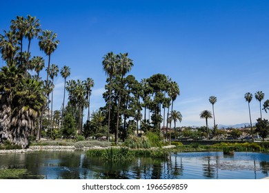 A Lake In Echo Park, Los Angeles