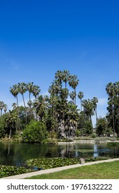 A Lake In Echo Park, Los Angeles