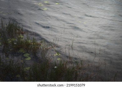 Lake Edge Of Beratan Lake