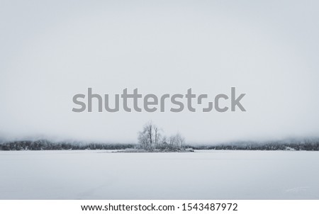 Lake Eibsee frozen with snow in bavaria under deep fog inclusive island of trees