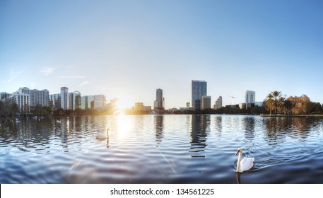 Lake Eola In Orlando With Swans.