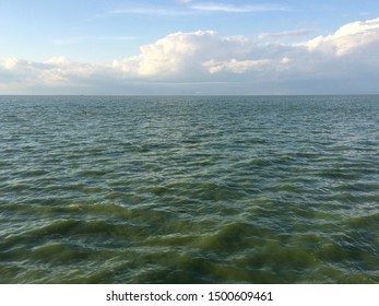 Lake Erie Summer Algae Bloom