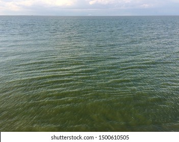 Lake Erie Summer Algae Bloom