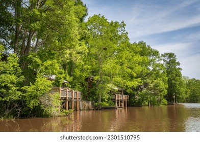 Lake Fausse Pointe State Park in Louisiana