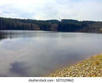 Lake in forest