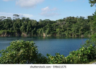Lake in Forest