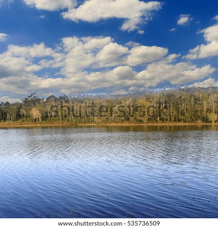 Lake forest with blue sky and clouds