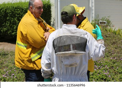 Lake Forest, California 7-16-2018: Africanized Honey Bees Aka KILLER BEE'S Swarm Firefighters And Critically Sting A Woman In Lake Forest, California. Woman And 3 Fire Fighters Taken To Hospital.   