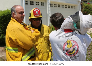 Lake Forest, California 7-16-2018: Africanized Honey Bees Aka KILLER BEE'S Swarm Firefighters And Critically Sting A Woman In Lake Forest, California. Woman And 3 Fire Fighters Taken To Hospital.   