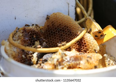 Lake Forest, California 7-16-2018: Africanized Honey Bees Aka KILLER BEE'S Swarm Firefighters And Critically Sting A Woman In Lake Forest, California. Woman And 3 Fire Fighters Taken To Hospital.   