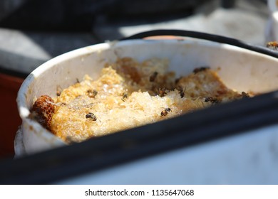 Lake Forest, California 7-16-2018: Africanized Honey Bees Aka KILLER BEE'S Swarm Firefighters And Critically Sting A Woman In Lake Forest, California. Woman And 3 Fire Fighters Taken To Hospital.   