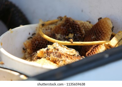 Lake Forest. California 7-16-2018:Honey From Killer Bees After A Bee Attack That Sends A Cleaning Lady In Critical Condition To The Hospital Along With 4 Fire Fighters.