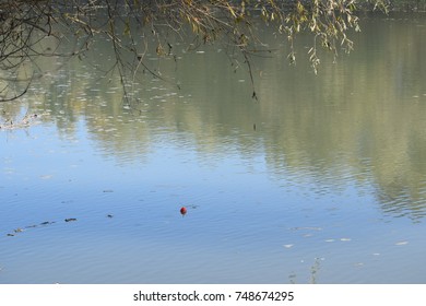 lake and forest in the fall