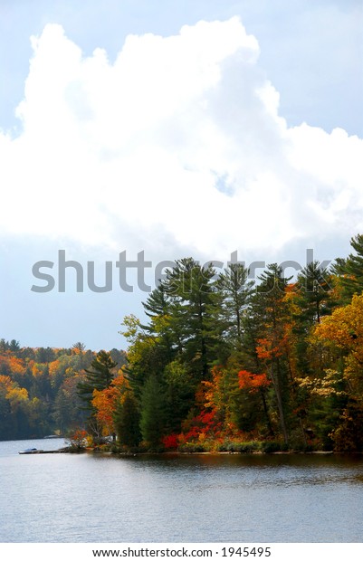 Lake Forest Fall Northern Ontario Stock Photo 1945495 | Shutterstock