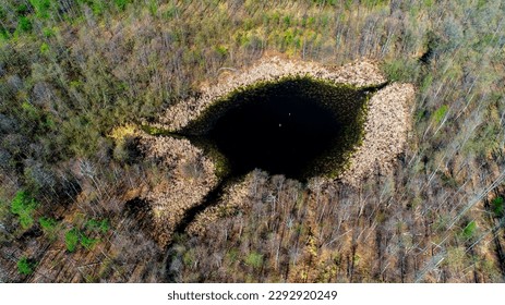 the lake in the forest has a beautiful shape