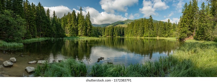 Lake In The Forest In Lower Tatra Mountains