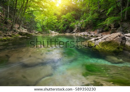 Lake in forest. Nature composition.