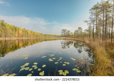 Lake In The Forest In Northern Russia