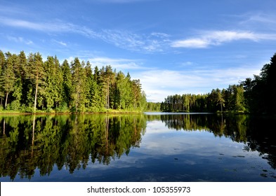 lake in the forest with reflection