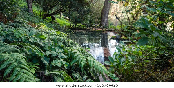 Lake Forest Surrounded By Vegetation Monserrate Stock Photo Edit