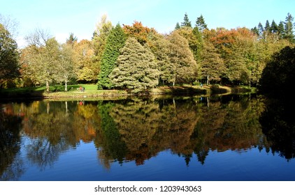 Lake and forest view of Dun a Ri forest park in Kingscourt, Co Cavan, Ireland. Reflection of trees in the lake.