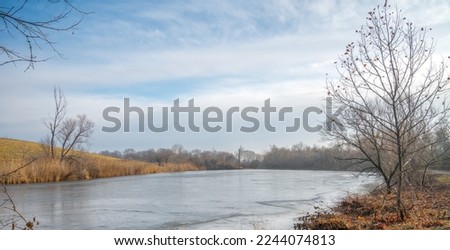 Lake frozen over with ice in winter. Trees with bare branches on the shore. Forest of trees in the background in a haze of fog. Blue sky with white wispy clouds. Tree in foreground has a few leaves.