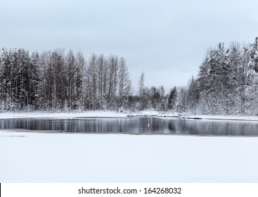 Lake and frozen trees at winter season - Powered by Shutterstock