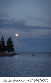 Lake with full moon over a pine tree in twilight sky. Beautiful landscape.
