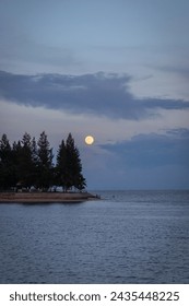 Lake with full moon over a pine tree in twilight sky. Beautiful landscape.
