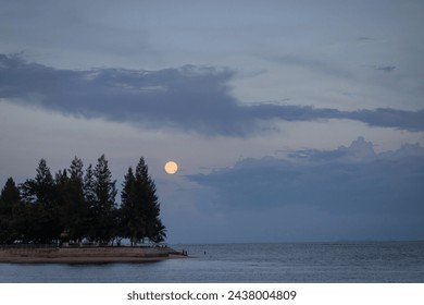 Lake with full moon over a pine tree in twilight sky. Beautiful landscape.