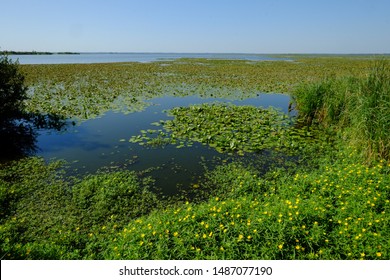 The Lake Of Grand-Lieu Near The Nantes Airport In France