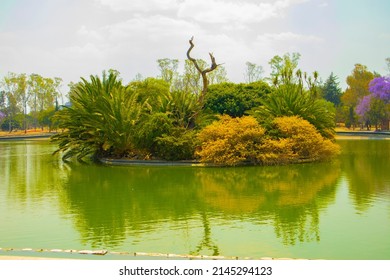 Lake Green In Chapultepec Park 