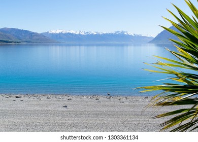 Lake Hawea Expansive View From Shore Tp Snow Capped Mountains In Distance With Cabbage Tree Leaves Framing On Side Of Image