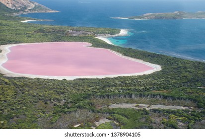 Lake Hillier On Middle Island Near Esperance, Western Australia.