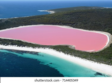 Lake Hillier, Western Australia: Amazing pink lake, natural landmark of Australia, in Middle Island, Recherche Archipelago Nature Reserve, near Esperance.