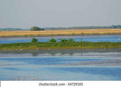 Lake, Hortobagy National Park, Hungary