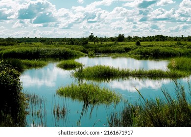 Lake In Indonesia, Kalimantan Tengah 