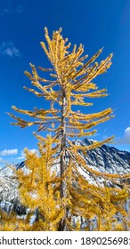 Lake Ingalls Trail Is In The Washington State 