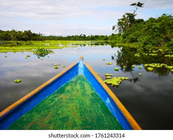 Lake Izabal Dawn Boat Tour