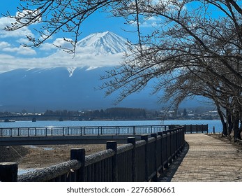 Lake Kawaguchiko (河口湖) is the most easily accessible of the Fuji Five Lakes with train and direct bus connections to Tokyo. A hot spring resort town with various tourist attractions and views of Mount
