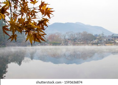 Lake Kinrin Is Famous For Its Morning Mists Created When Water Welling Up From Hot And Cold Springs Mix. Name Came From A Confucian Scholar Who Spotted A Gold-scaled Fish In The Waters Around Sunset.