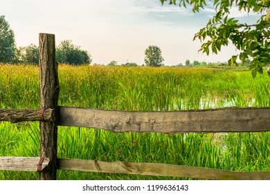 Lake At Kiskunhalas, Hungary