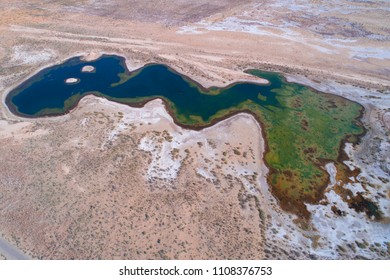 Lake In The Kyzyl Kum Desert