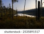 Lake landscape beside a swamp in the early morning at Seitseminen National Park, Ylojarvi, Finland